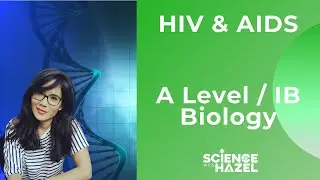 HIV (AIDS) | A Level and IB Biology