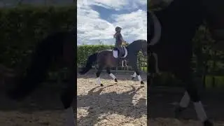 Boysy half pass