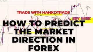 How To Predict The NEXT MOVE in Forex|| Trading With Hankotrade