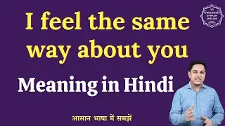 I feel the same way about you meaning in Hindi | English to hindi