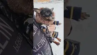 На улице дубэо, одевайтесь хорошо, чтобы не было холодэо ❄️