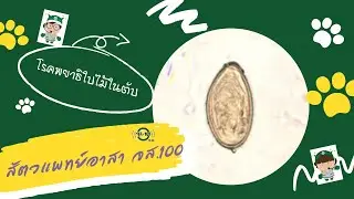 สัตวแพทย์อาสาจส. 100 : โรคพยาธิใบไม้ในตับ
