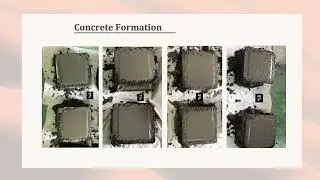 Brine Water Derived Calcium Oxalate and Calcium Carbonates as management of brine desalination  1