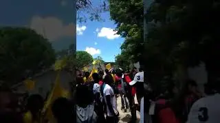 Gaga de tocone divicion cacata