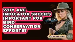 Why Are Indicator Species Important For Bird Conservation Efforts? - Bird Watching Diaries
