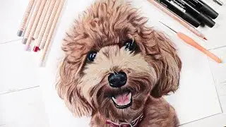 Drawing a REALISTIC DOG with COLORED PENCILS