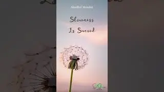 Mindful Monday: Slowness Is Sacred #mindfulness #affirmations #mindfulpresence #stressrelief