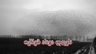 თეთრი სეტერი ქრის