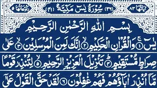 Surah Yaseen Surah Ar Rahman |&nbsp;Best Qur'an Recitation | Ep 446 | surah yasin full |quran tilawat