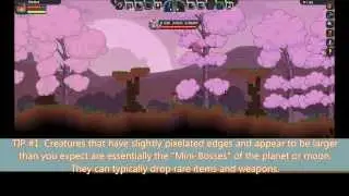 Starbound: Survival Tips (Prisons - Ep 1)