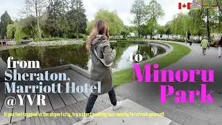 Short Walking tour from Sheraton, Marriott Hotel at Richmond, BC to Minoru Park