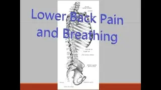 Lower Back Pain and Breathing
