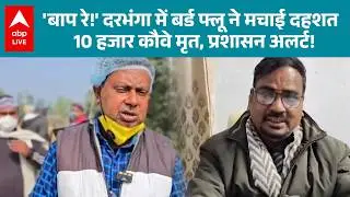 Bihar News: 'बाप रे!' दरभंगा में बर्ड फ्लू ने मचाई दहशत 10 हजार कौवे मृत, प्रशासन अलर्ट! |ABPLIVE