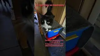 17 ноября 2025 г.