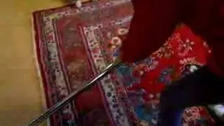 crazy dog barking at vacuum cleaner
