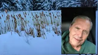 Вам следует смело заменить тревожные мысли мыслями о доверии к Богу (отец 13 сыновей и одной доче...