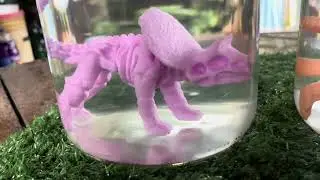 Orbes de dinossauro @Fam&iacute;lialica 