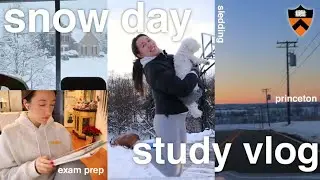 SNOW DAY STUDY VLOG❄️ *princeton finals week*