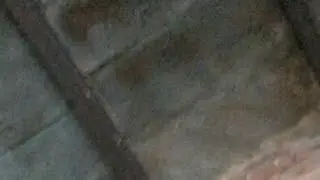 Ayyaz Ansari की लाइव स्ट्रीम शुरू होने वाली है!