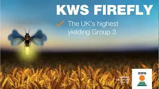 Top reasons to grow KWS Firefly in 2020!