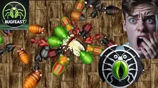 EPIC Bug Feast: FASTEST Tiny Chompers Devour A SLICE of Fruit! (Satisfying ASMR) - Episode 1