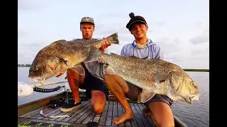 Giant Black Drum Sight Fishing!!!