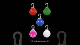 Check this out: Rechargeable LED #dog #collar pendant #pets #dogs #dogcollar #dogaccessories