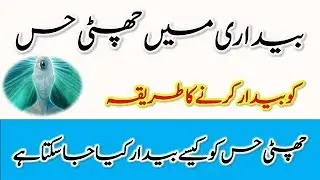 Bedari me Chati hiss ko bedar karne ka tariqa