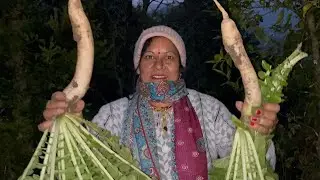 गार्डन हार्वेस्ट डे (ख़ेत से निकाली ताजा- ताजा सब्जी) ☺️ low maintenance vegetables🥦🪴 