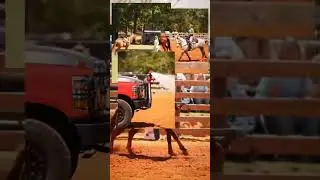 Round Ride Media #rodeo #community #nonprofitorganization #wiregrassgives