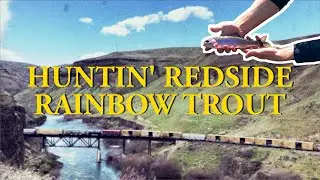 Huntin&rsquo; Redside Rainbow Trout // I GO FLY FISHING WITH MY BROTHER