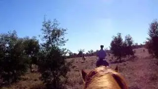 Horseriding @ Myella Farmstay