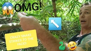 SNAKE STRKES FACE!! 😱 Venomous? Corey Wild