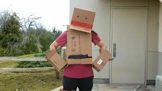 Box Boy