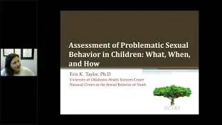 Assessment of Problematic Sexual Behavior in Children  What, When, and How
