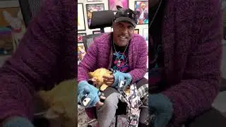 Mo Show The Cat Rapper - Garfield