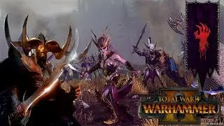 Dark Elf Legendary Lords + Possible DLC (Malus Darkblade, & More) | Total War: Warhammer 2