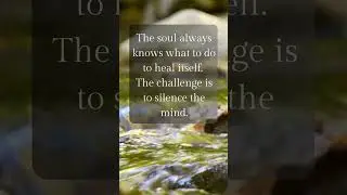 Zen Wisdom pt. 72 - On Silencing the Mind #zenwisdom #meditation #mindfulness #mind #silence