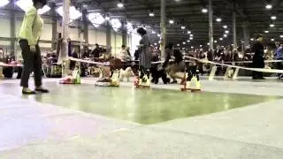 моно дельта пал 2015 лучший беби