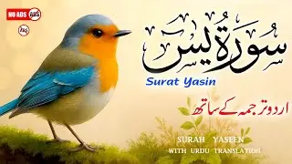 Surah Yaseen with Urdu Translation | Heart-Touching Recitation by Qari Ismail Al Nouri | Episode 320