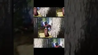 Ищущий флексит #gothic #gothic2 #gothic3 #shortsvideo