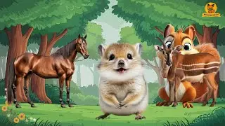 Colorful Animal World: Horse, Mouse, Chipmunk, Wildebeest, Emu - Animal Videos