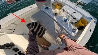 Plan A failed but plan B was the ticket *** Florida inshore saltwater Fishing