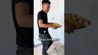 东北农村生活，有喜欢农村生活的吗？家才是我们的避风港！#东北农村人的日常 #新农人计划2023 #三农 #记录我的农村生活 #记录真实生活