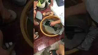 Jangan Remehkan Pemula #shorts