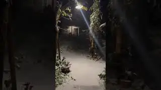 live snowfall in Bir Billing at Camp Oak View.  www.travelbirbilling.com #bir #snowfall
