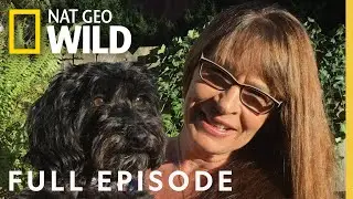 Lost in the Woods (Full Episode) | Trackers