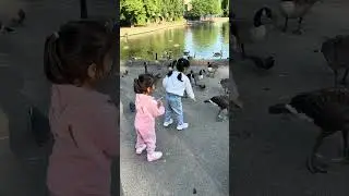 Aadya with friend feeding ducks  #children #activity #kids #play #cute