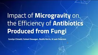 Impact of Microgravity on the Efficiency of Antibiotics Produced from Fungi