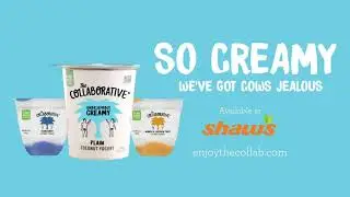 Collaborative Plant-Based Yogurt YOGA Cow-Free